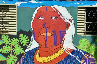 Mural of an indigenous woman painted on the side of a building in Alto Paraíso de Goiás, Goiás, Brazil.