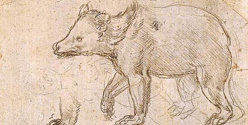 Drawing of a bear walking, from Leonardo da Vinci's "Studies of a Bear Walking"