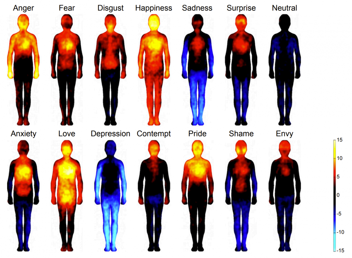 Topographic representations of where different emotions are experienced in the human body