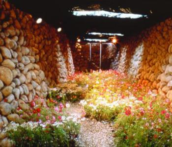 Photo of Wu Mali art installation called Secret Garden in which a flower garden rises from a path formed by two tall rock walls.