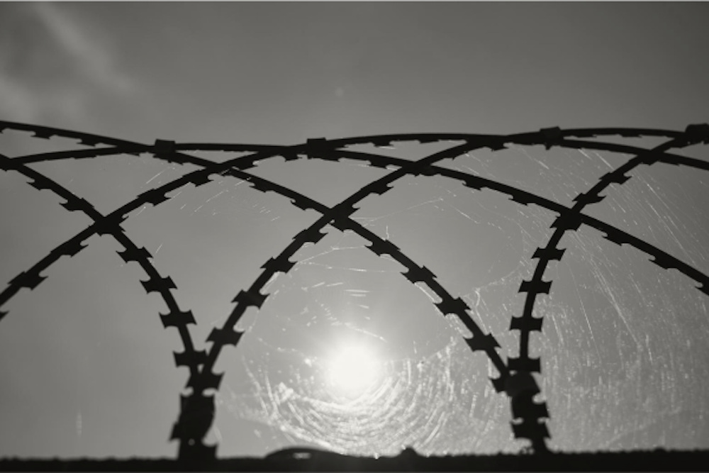 silhouette of barbed wire in black and white against a sunny sky