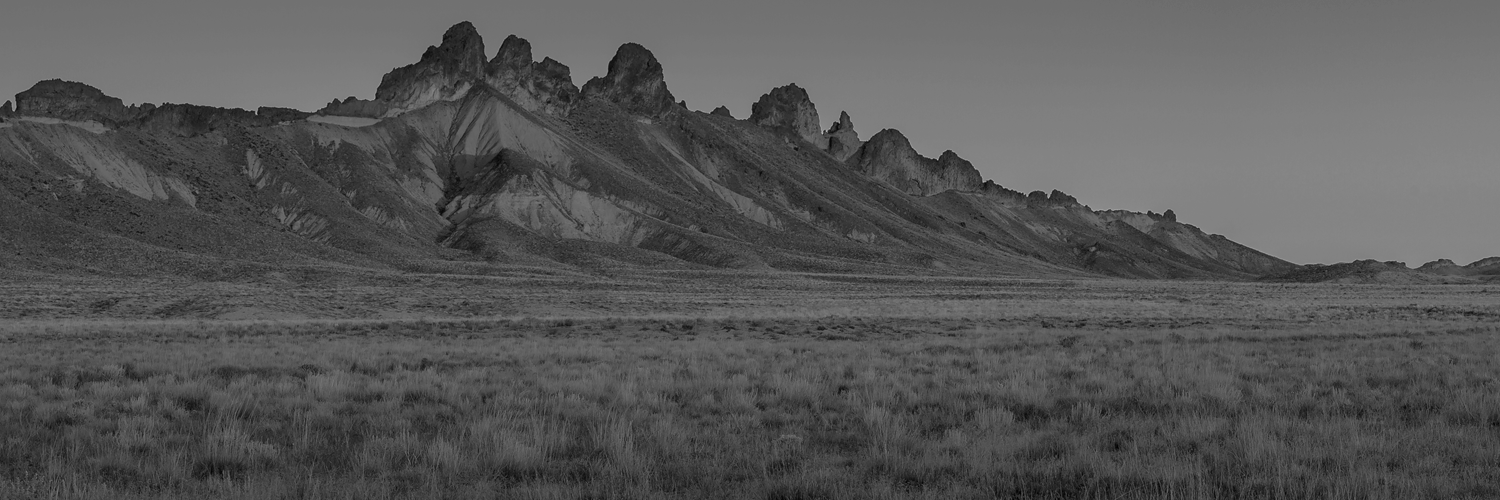 Desert and mountain range