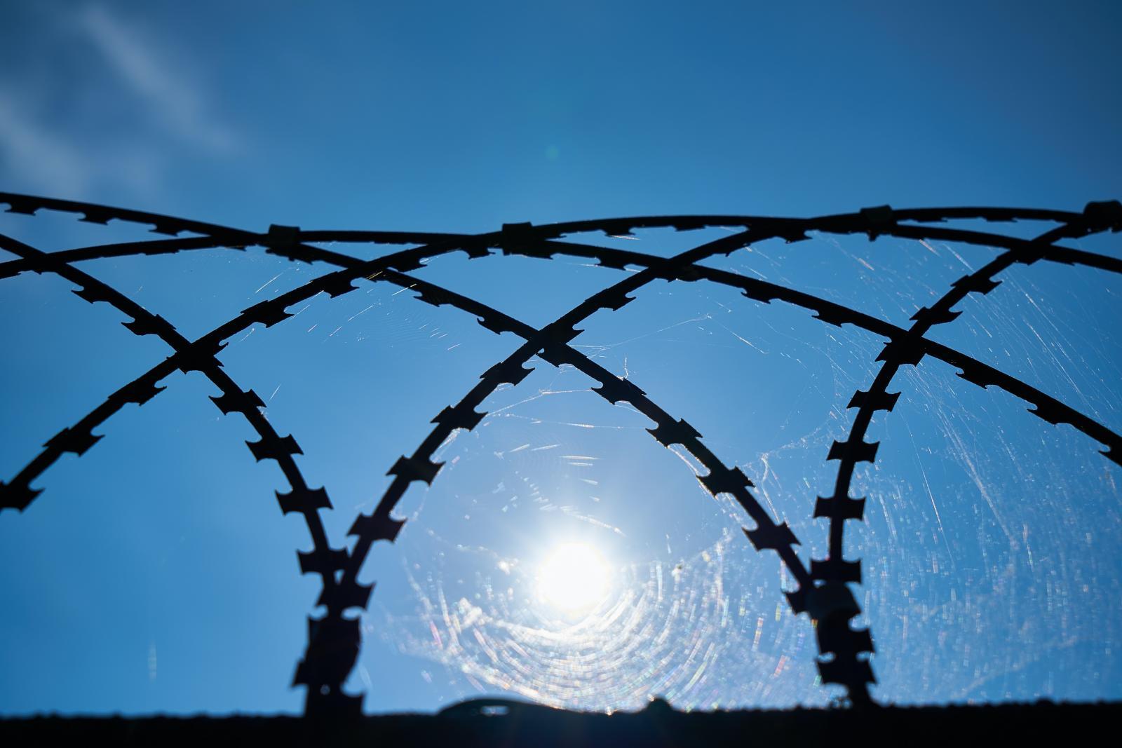 Barbed wire with the sun in the background.