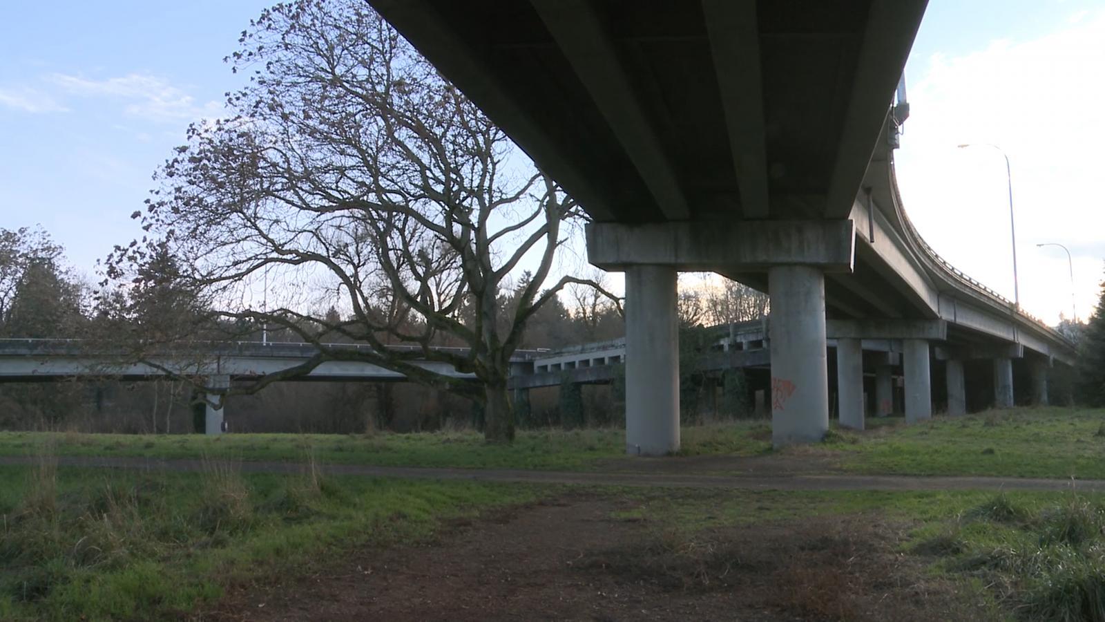 Portion of abandoned RH Thomson Expressway project, partly covered in ivy