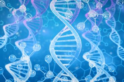 DNA strands and molecules