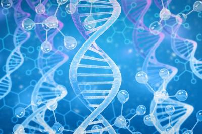 DNA strands and molecules