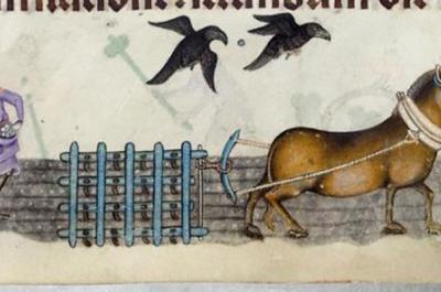 A marginal illustration of a person and horse ploughing of the fields, from the medieval manuscript the Luttrell Psalter