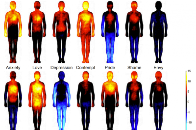 An image of 14 body scans showing the heat generated in the body in different emotional states.