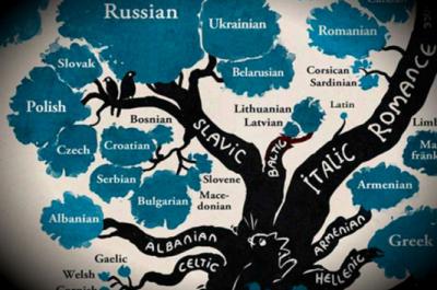 Close-up of the Slavic branch of a languages family tree