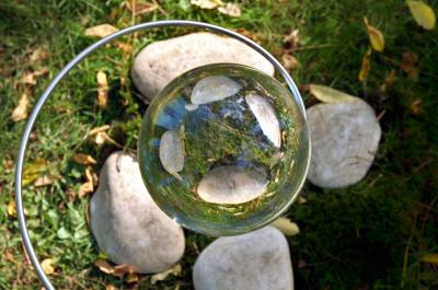 A photo of a glass ball reflecting four rocks in a grassy area.