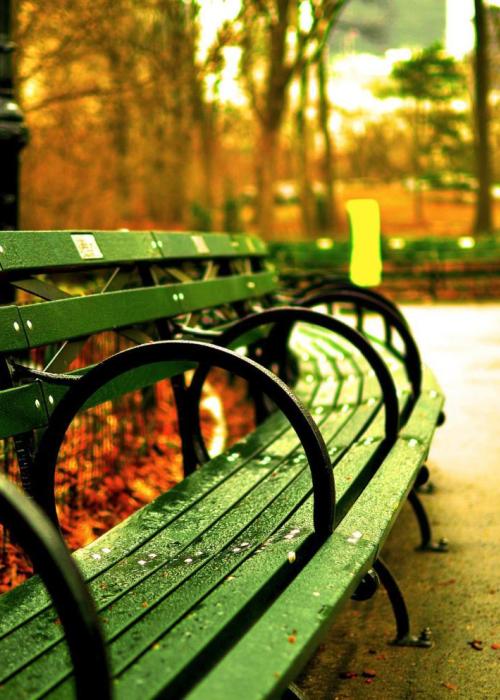 A bench in Central Park.
