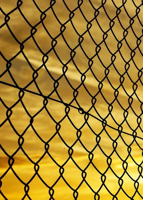 A chain link fence against the backdrop of a yellow sunset.
