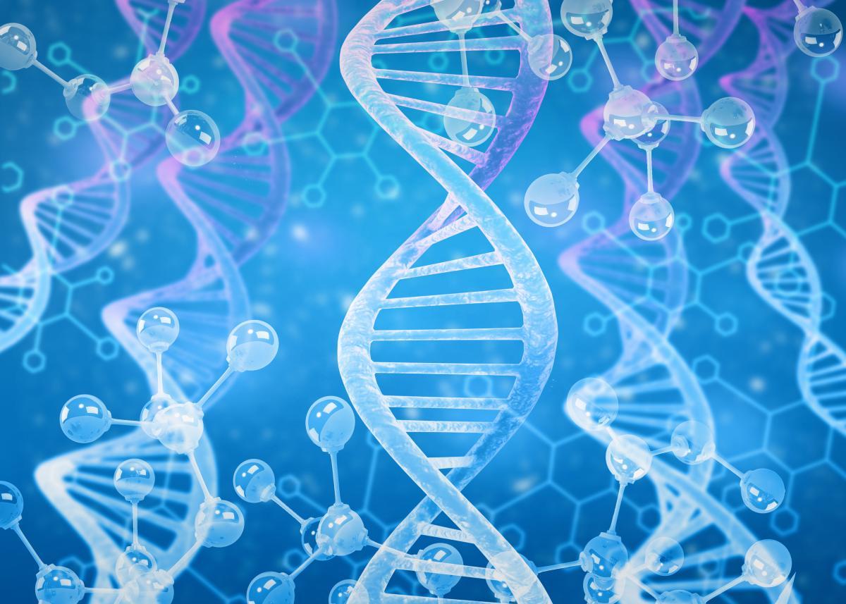 DNA strands and molecules