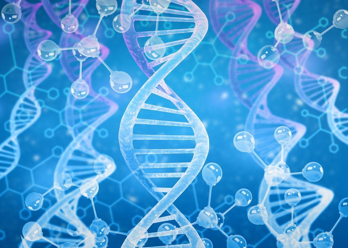 DNA strands and molecules