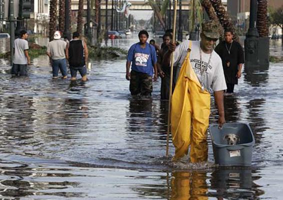People walking through water after Hurricane Katrina. One person in the foreground is carrying a bin with a small dog in it