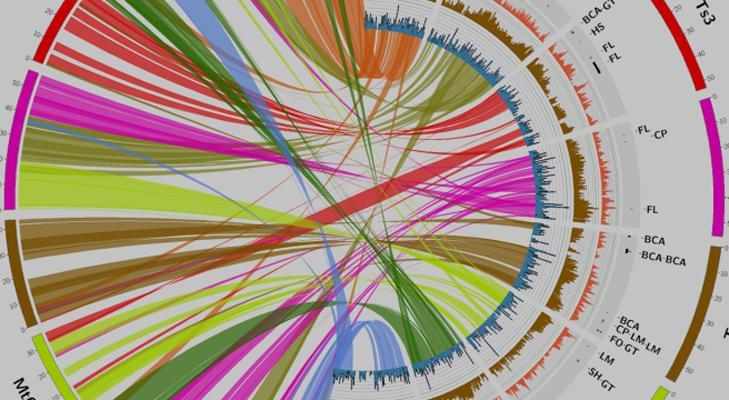 Multi-color circular genome data visualization