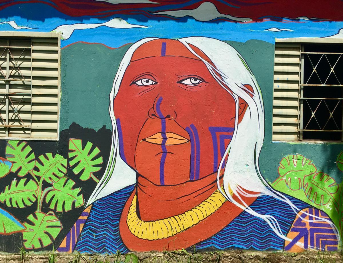 Mural of an indigenous woman painted on the side of a building in Alto Paraíso de Goiás, Goiás, Brazil.