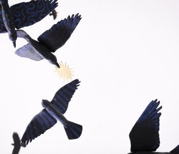 Suzzallo Library Interiors - birds