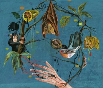 Illustration by Olaf Hajek for The New York Times in which images of a hand, veins, a bat, a bird, and a monkey are arranged in a circle on a blue background.