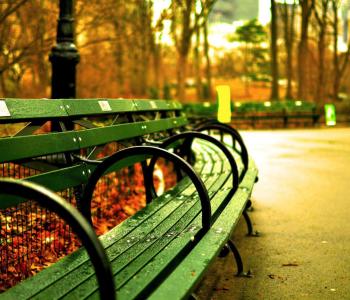 A bench in Central Park.