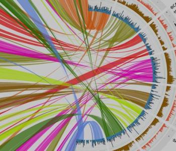 Multi-color circular genome data visualization
