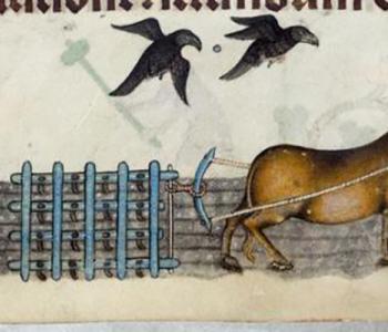 A marginal illustration of a person and horse ploughing of the fields, from the medieval manuscript the Luttrell Psalter